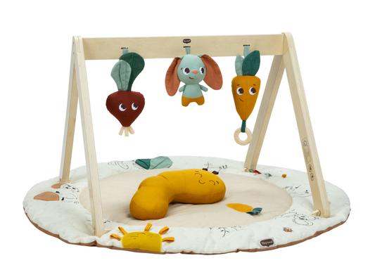 Tiny Love Garden of Adventures | Gymini