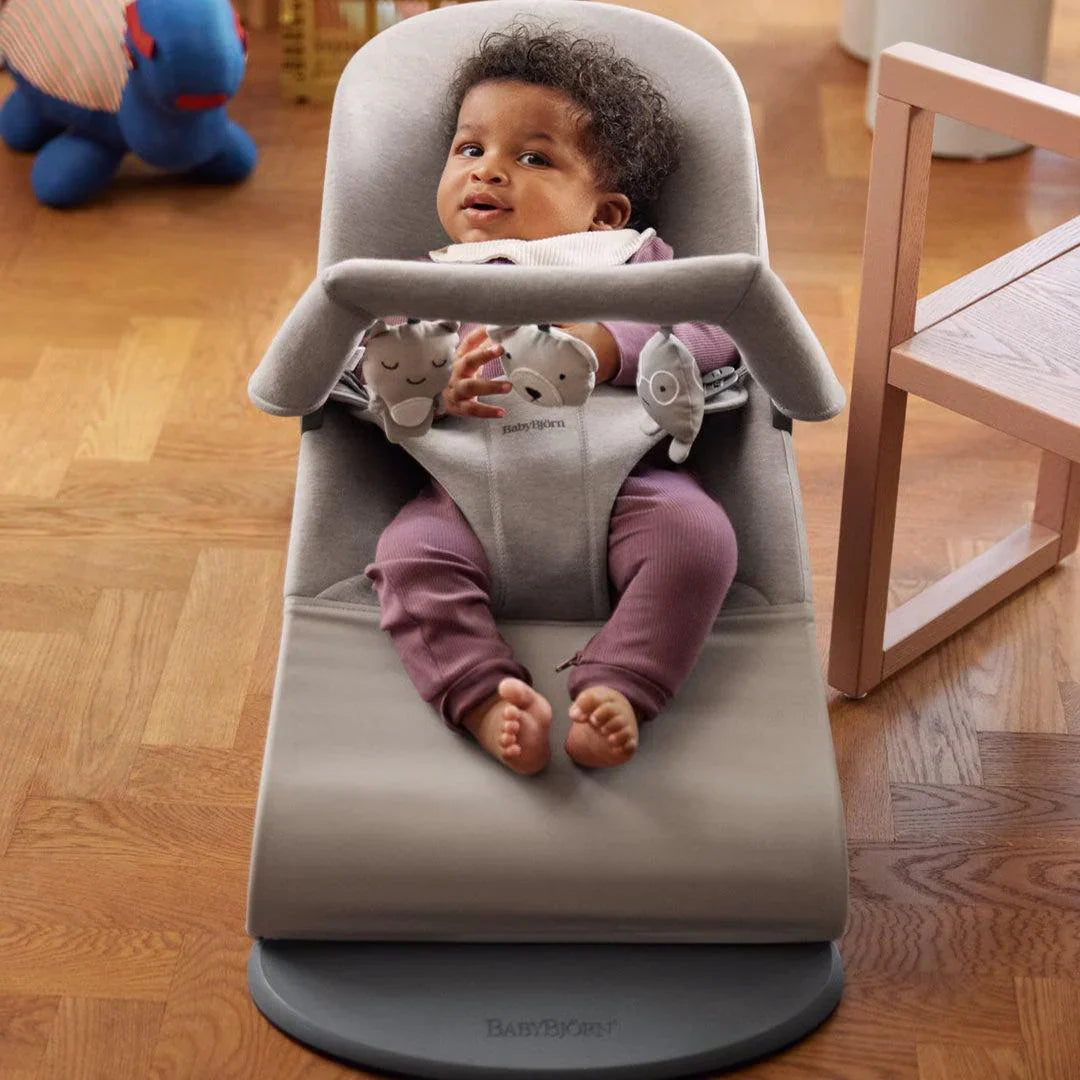 BabyBjorn Toy for Bouncer | Soft Friends